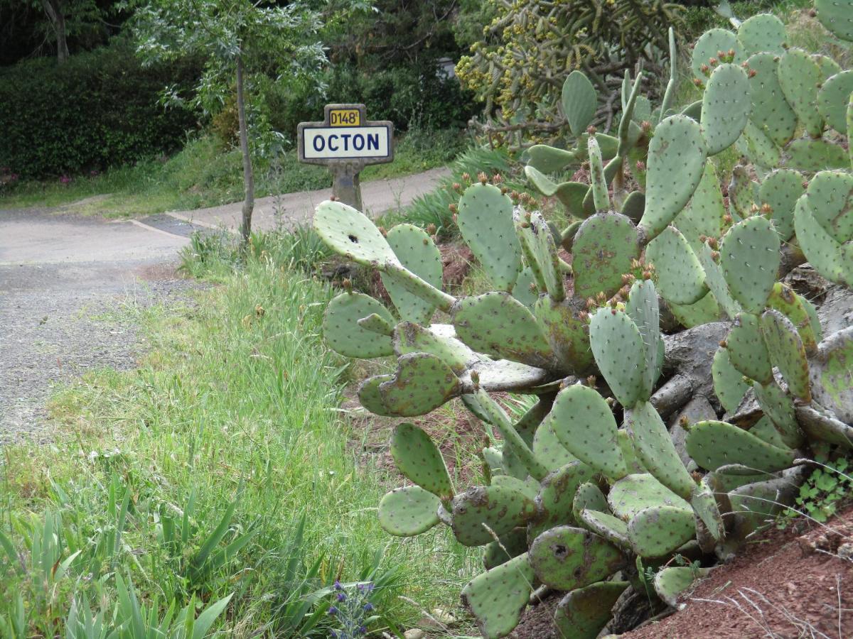 Hotes'Octon Exterior photo